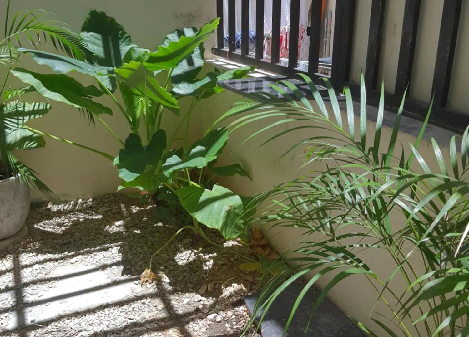 Casa Girasol Tulum Lägenhet Mexiko